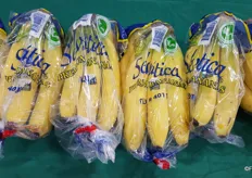 Bananas from Exp. Group, available year round